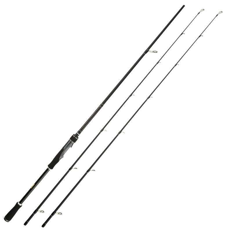 Double Tips Bass Spinning Rod